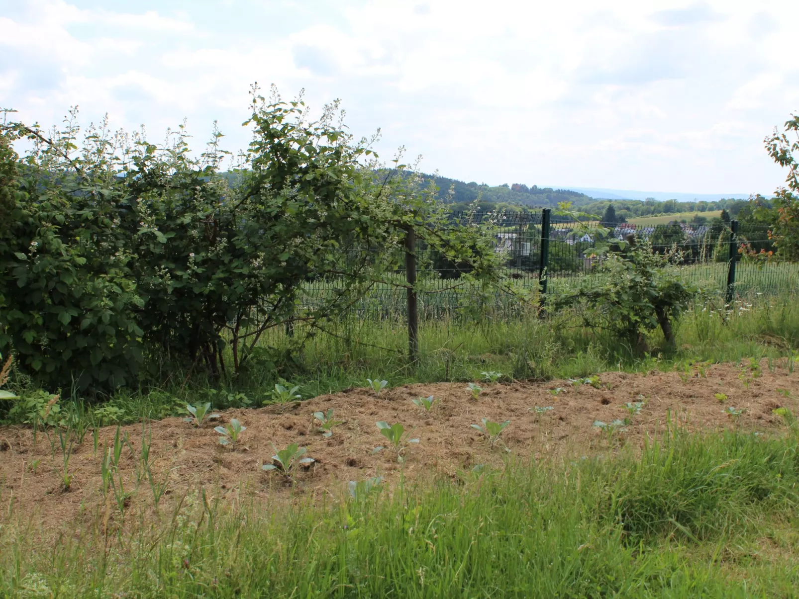 Almyssen - Image-tags.info