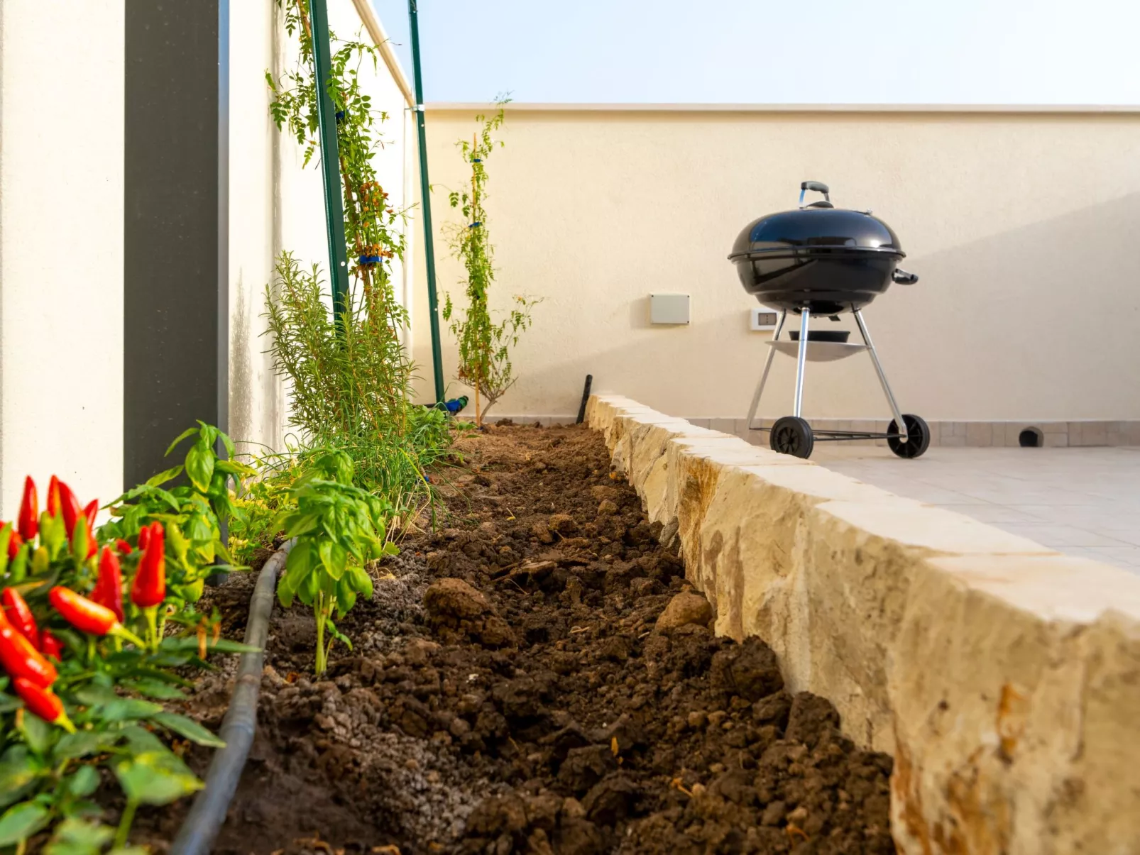 Wohnung Il Mandorlo - Image-tags.info