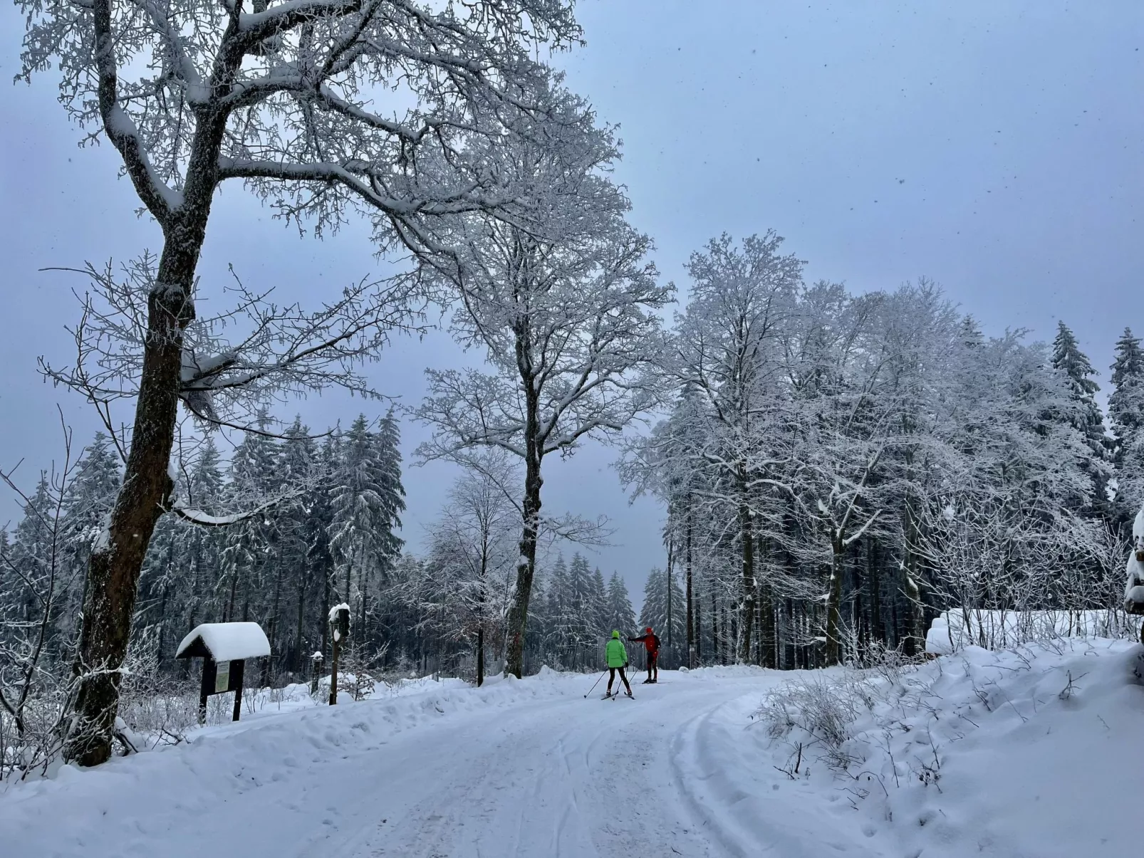 Haus Schneekopf - Umgebung