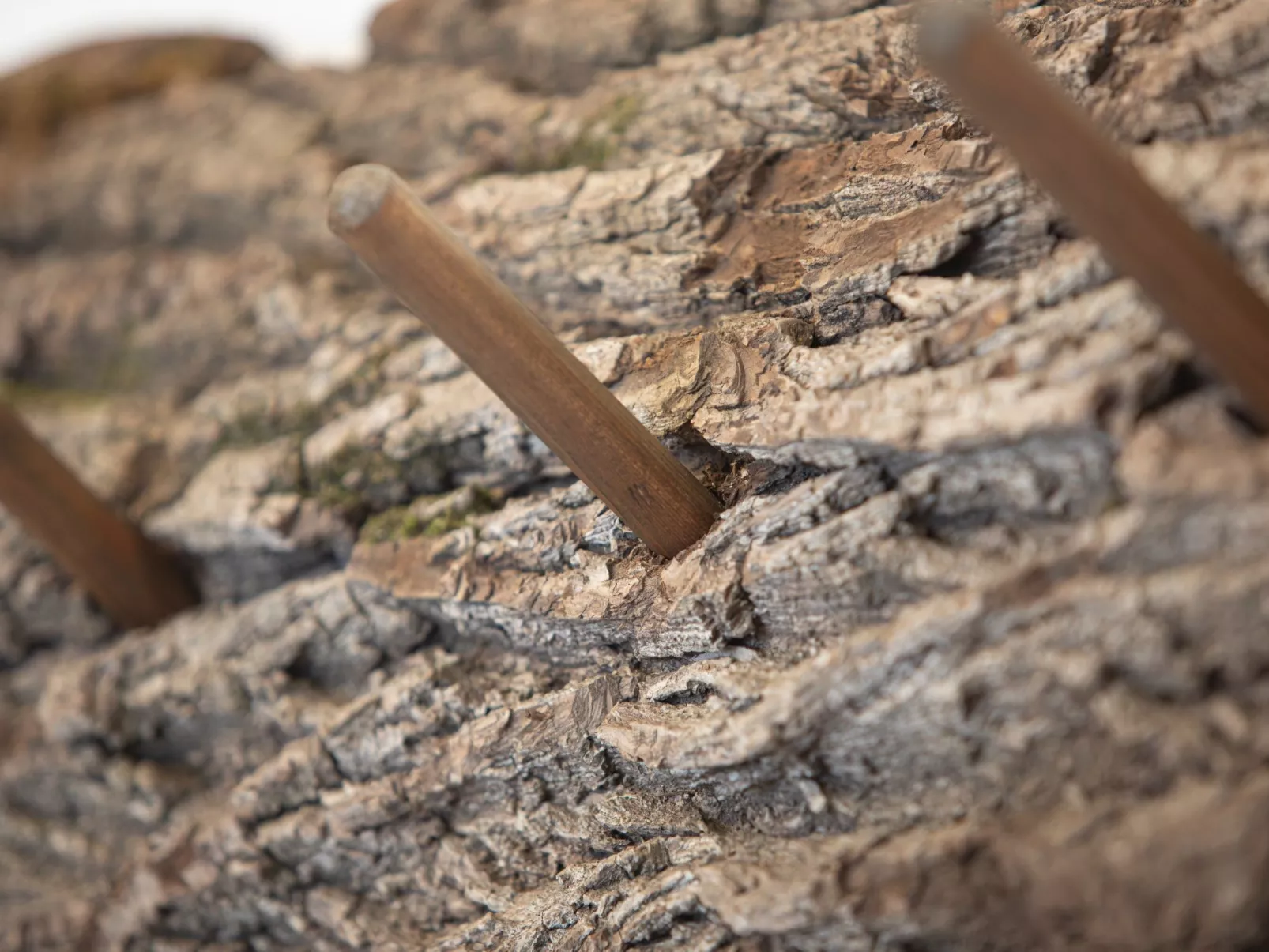 Dachstein Chalet Haus b - Image-tags.info