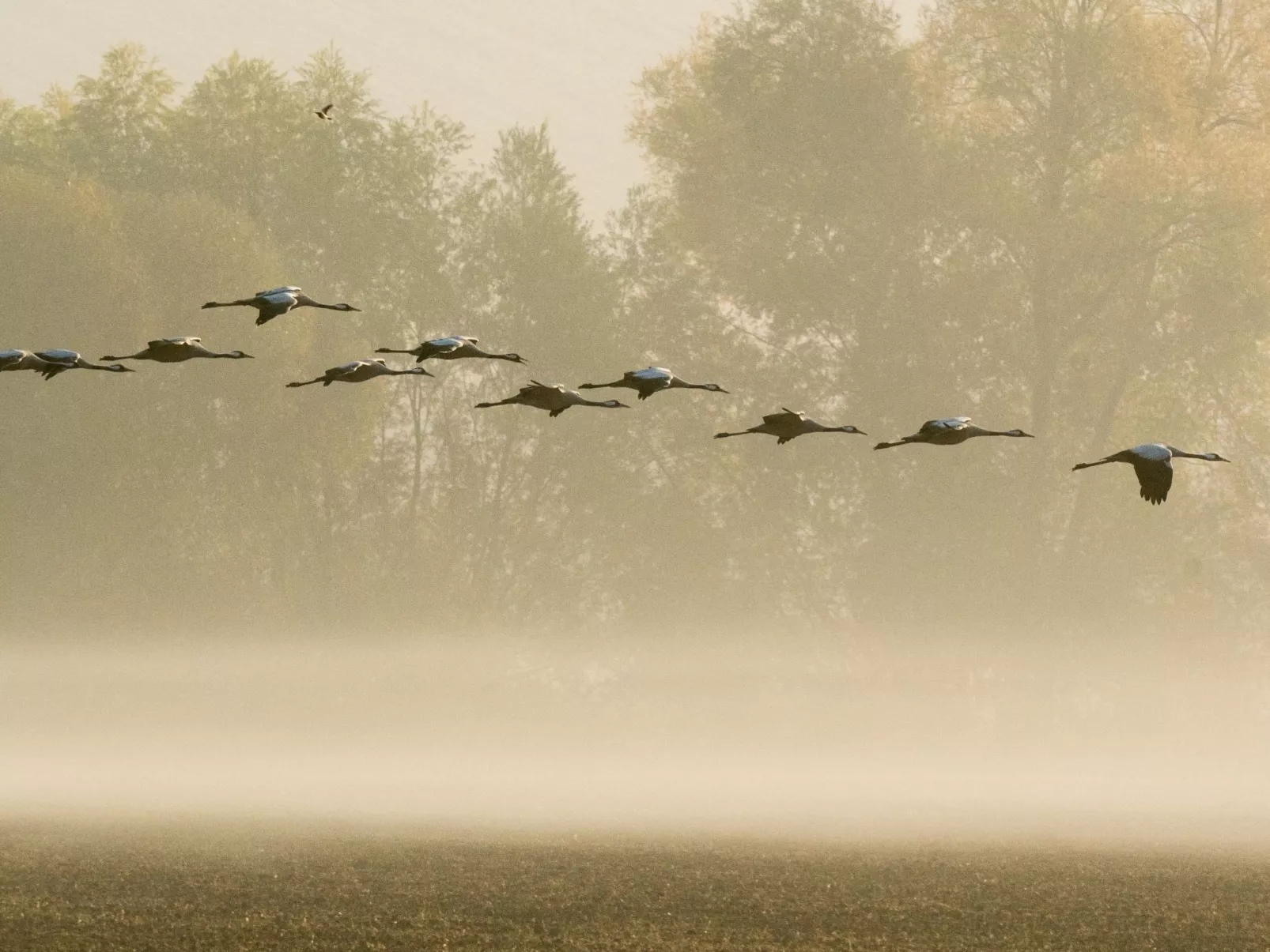 Fachwerkhaus "Charme - Image-tags.info