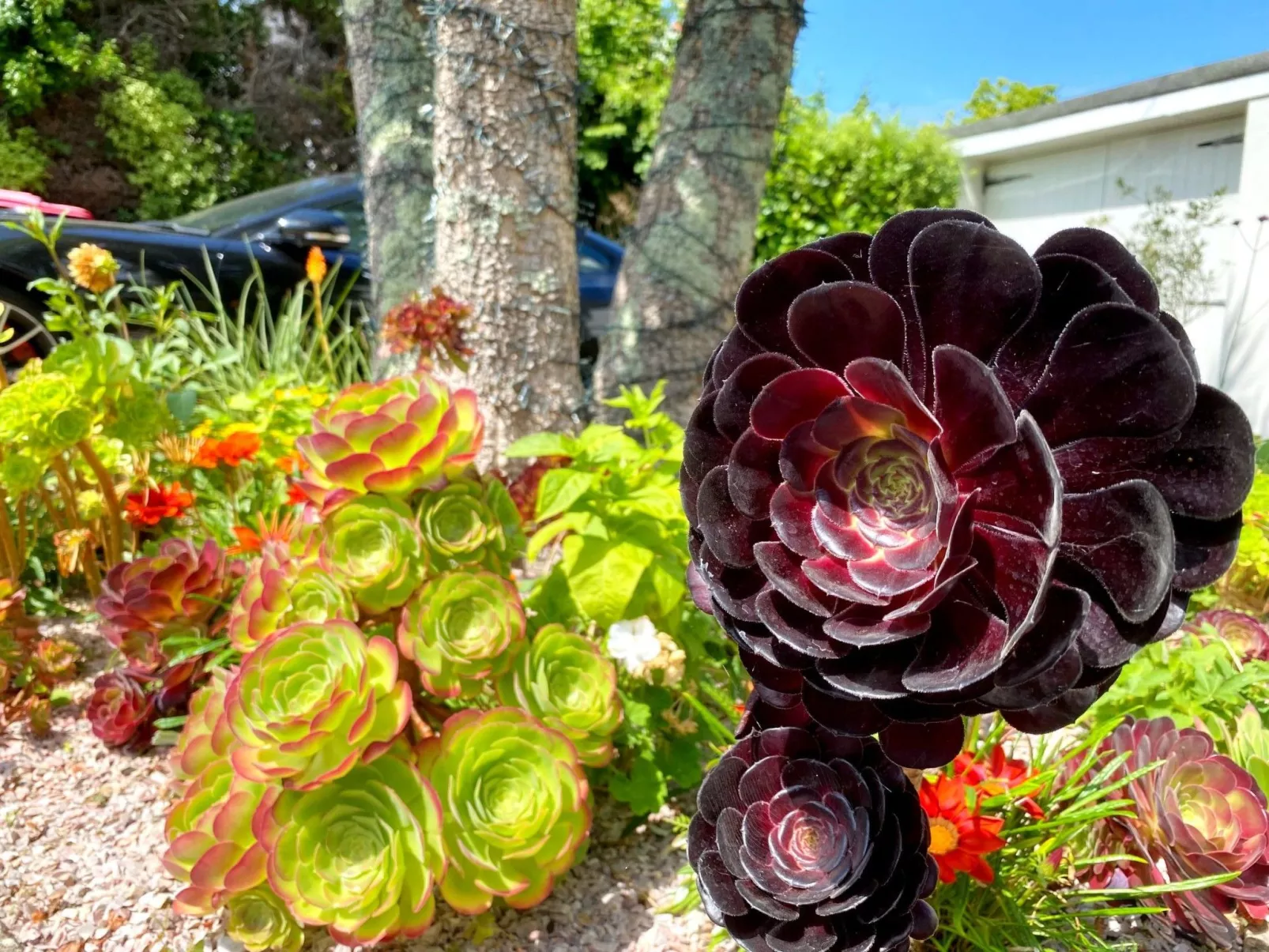 Luxuriöse viktorianische Villa in ruhiger Lage - Image-tags.info