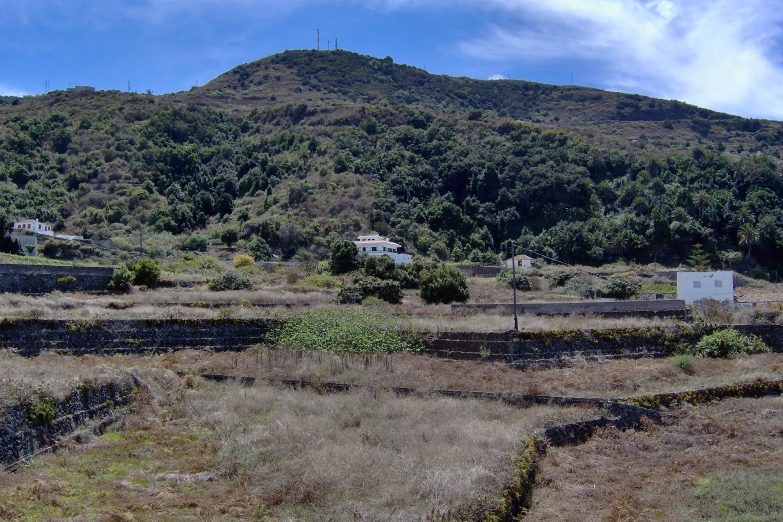 Apartamentos Monasterio de San Antonio 1 - Areas within 1km in summer