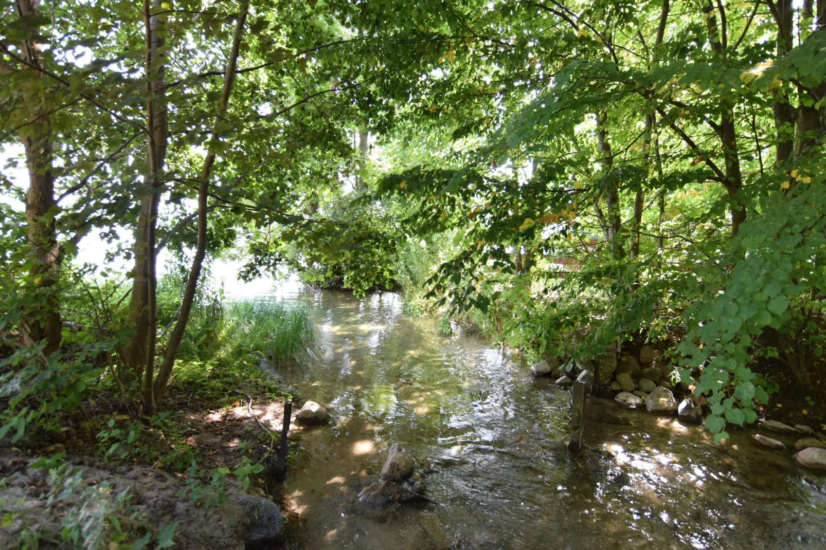 Domki wakacyjne MACIEJKA we Frydrychowie - Areas within 1km in summer