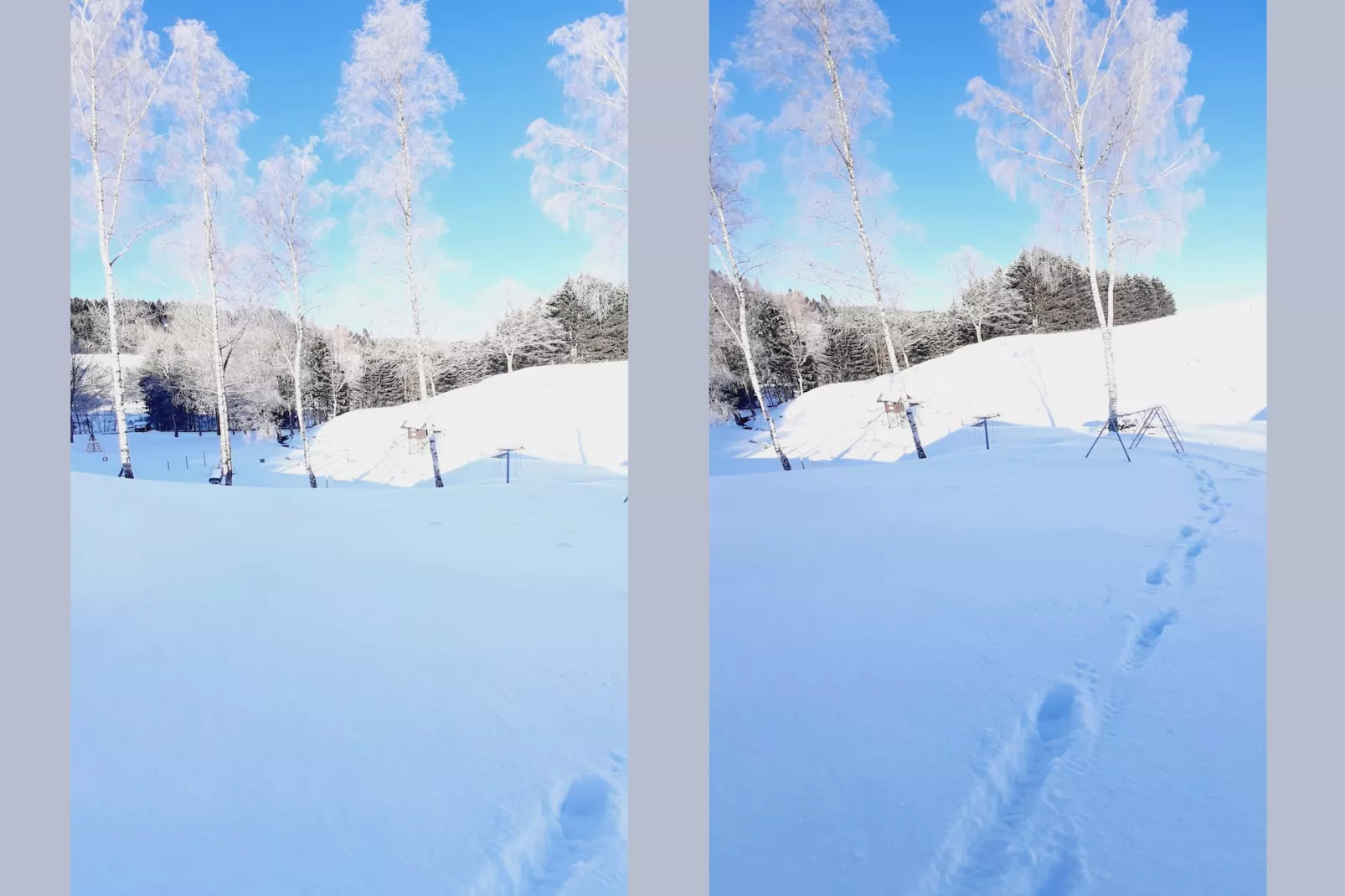 Murmeltier-Garten Winter