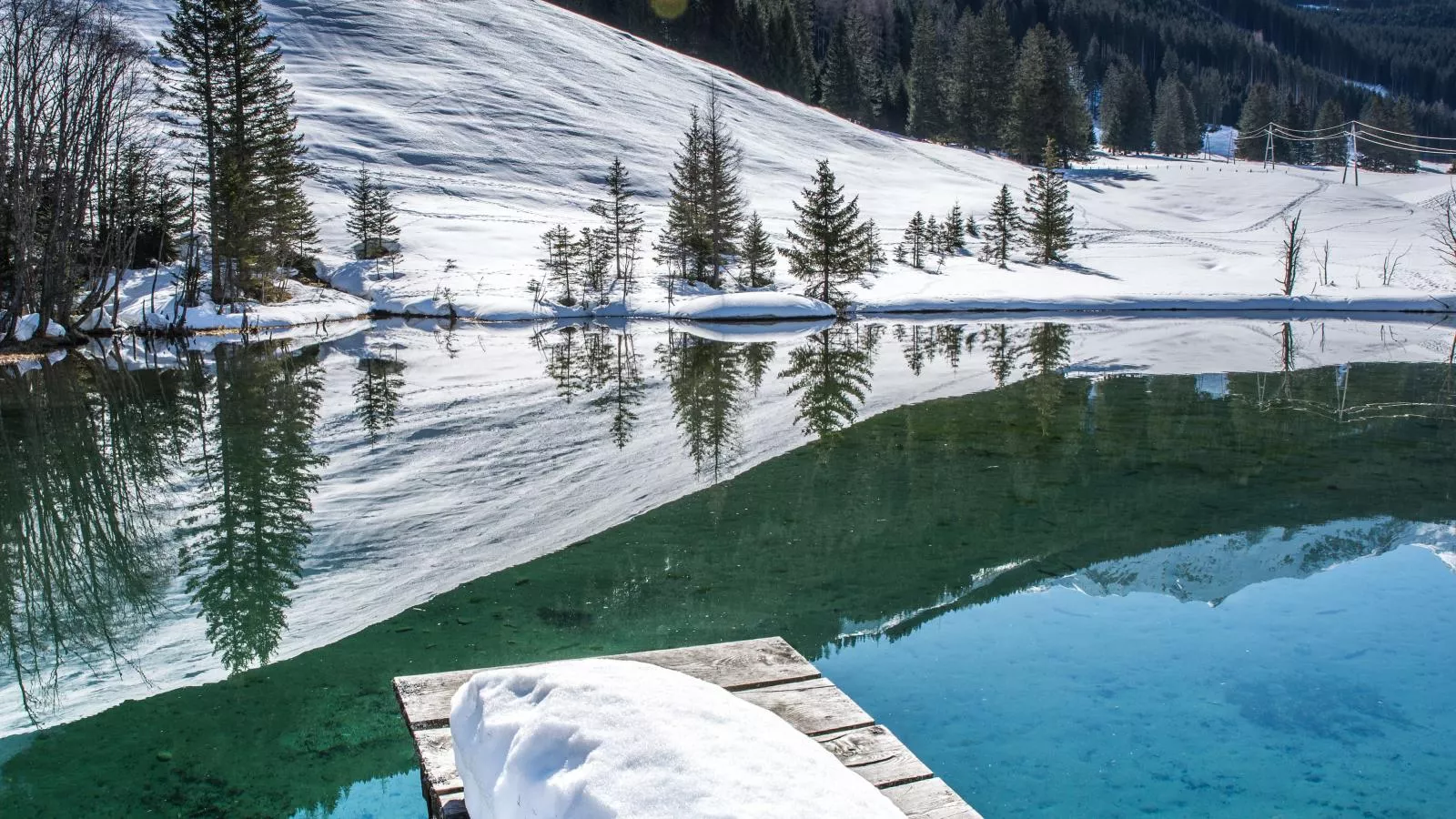 Barney M-Area within 5km in winter