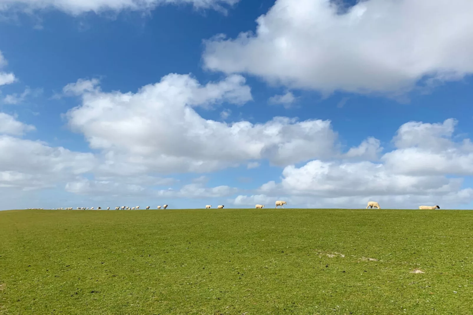 394110-Gardens in summer