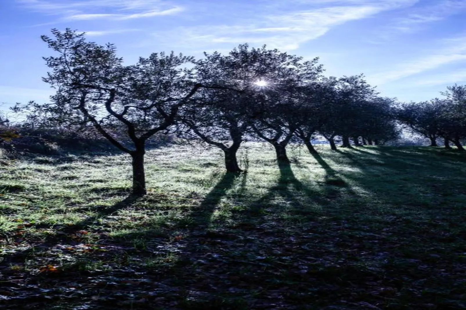 Aria di Lucca-Gebiete Sommer 20 km