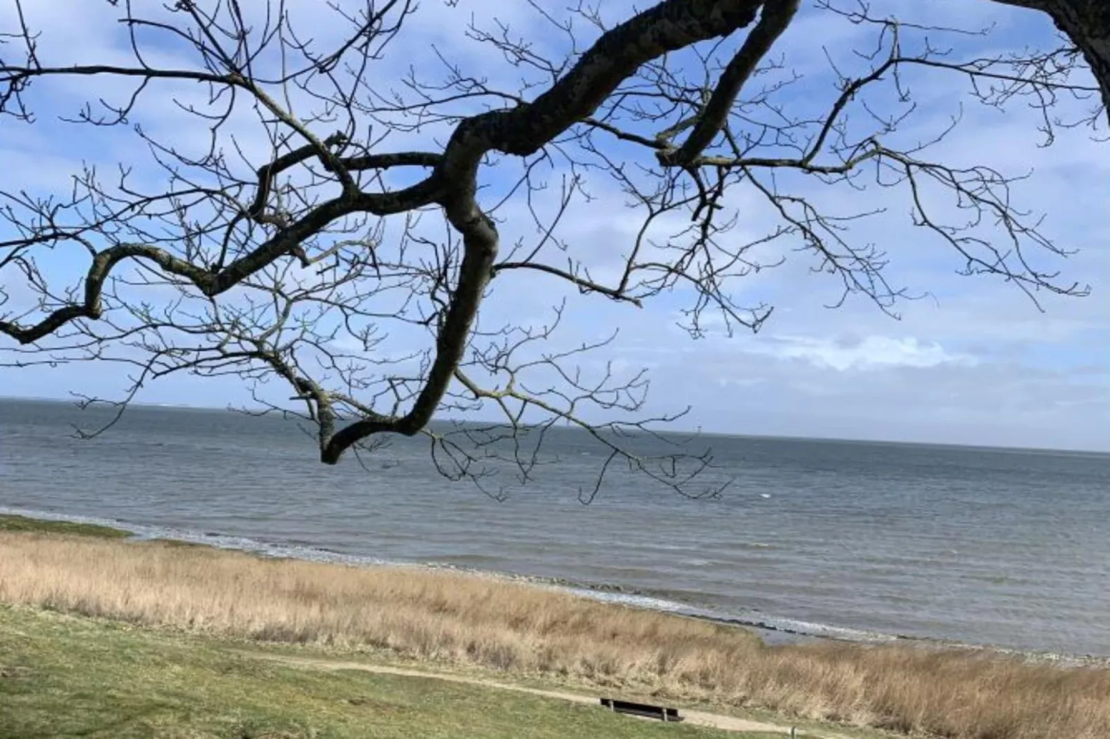 139423-Areas within 5km in summer