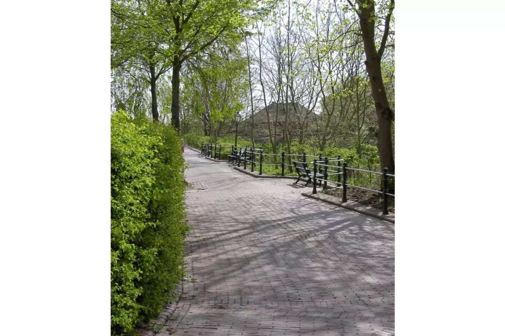 47462-Areas within 5km in summer