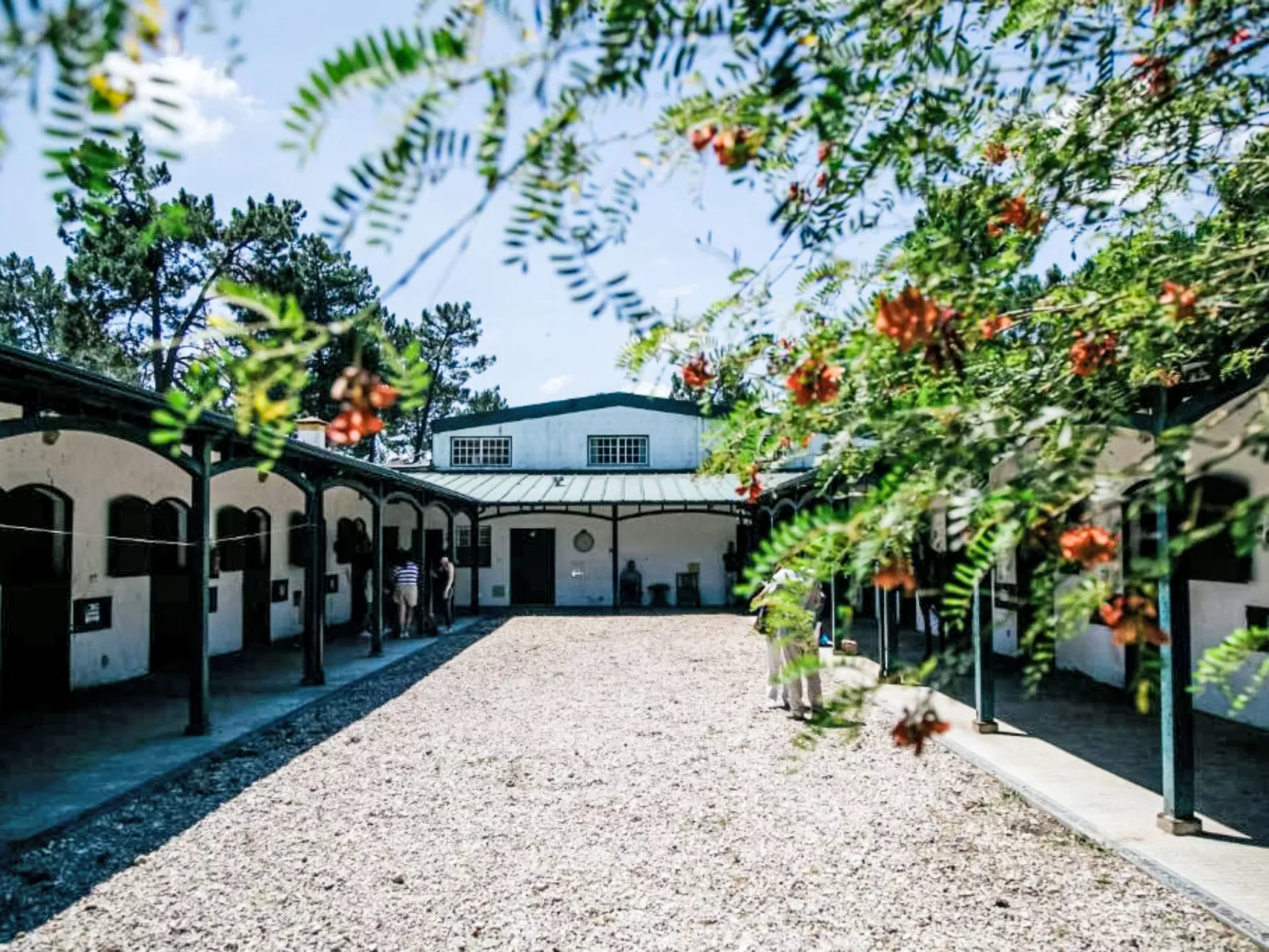 Villa Cegonha - Draußen