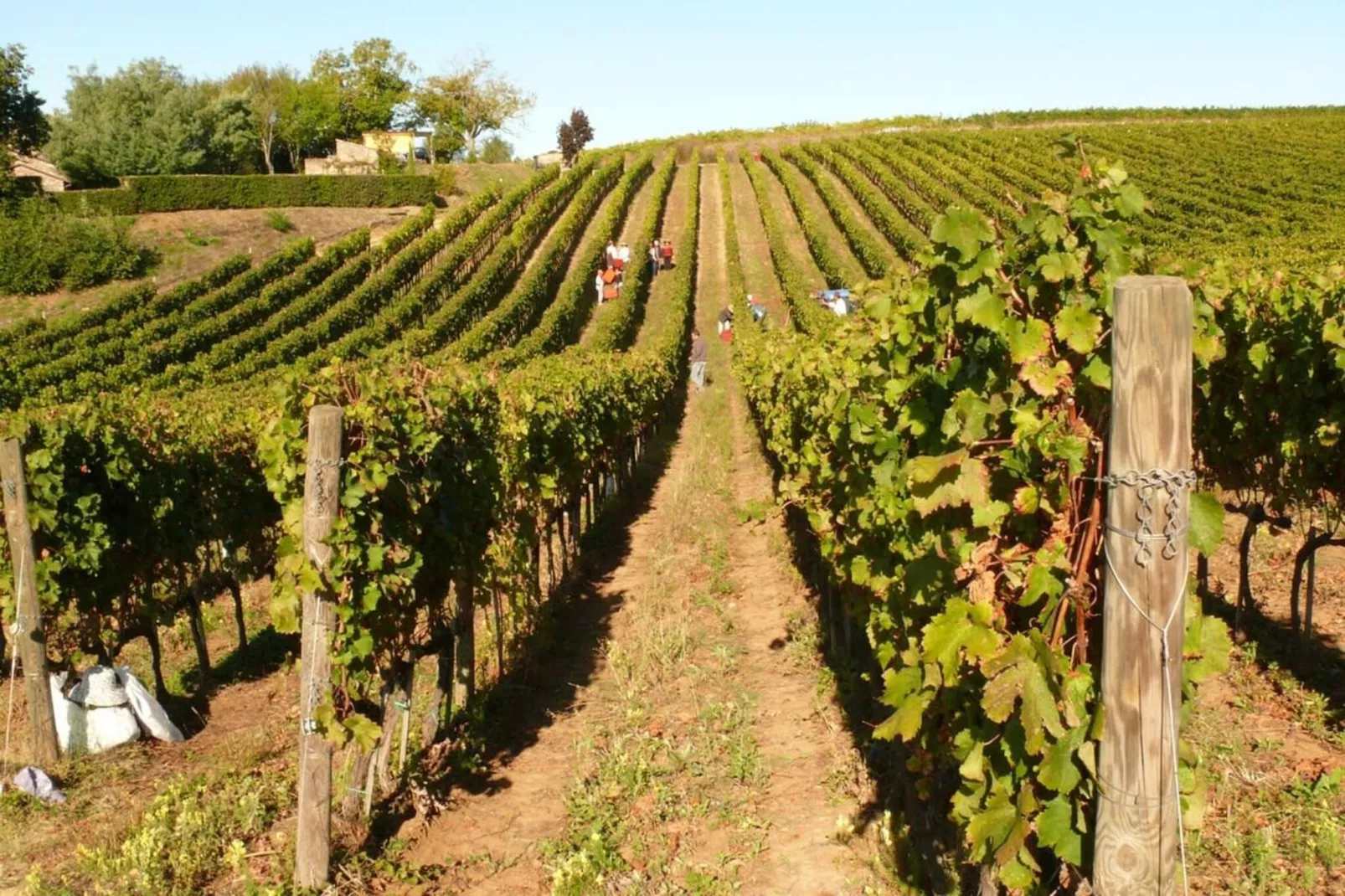 Villa Vinarte-Jardin en hiver