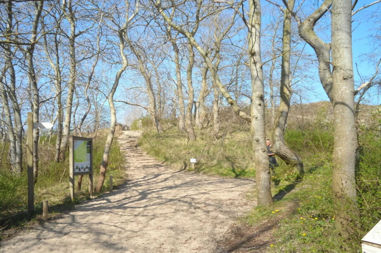 186075 - Zones été à 5 km