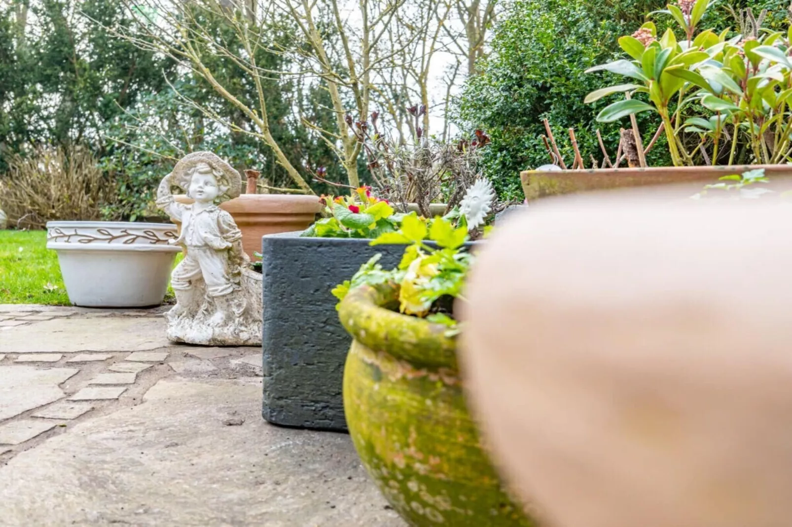 113868-Garten Sommer