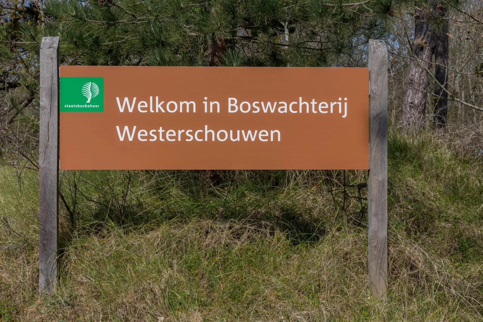 Zonnedorp 26 Renesse: Comfortable Beach Holiday on the North Sea-Untagged