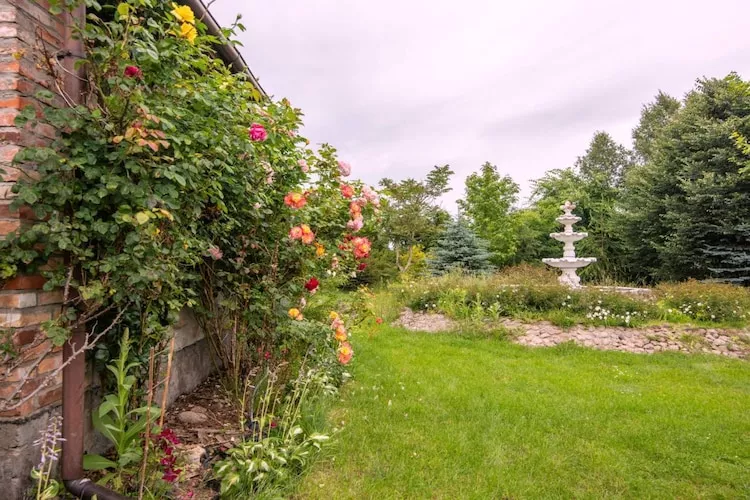 Angelino-Gardens in summer