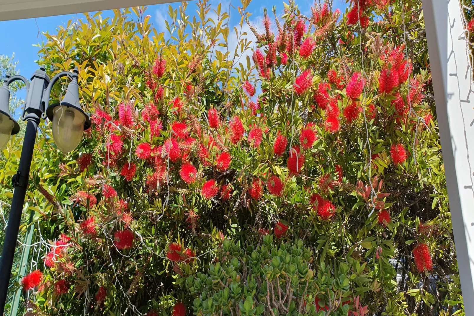 Charmante Villa mit drei Apartments und Meerblick KReidl-Jardins en été