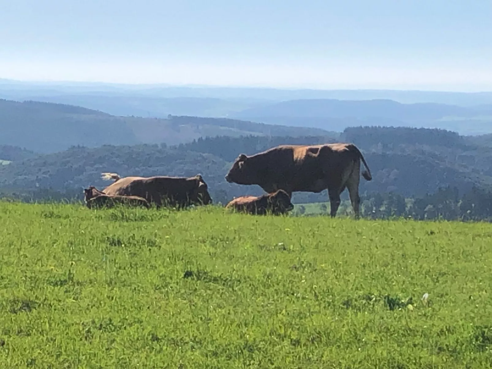 Fachwerkliebe - Image-tags.info