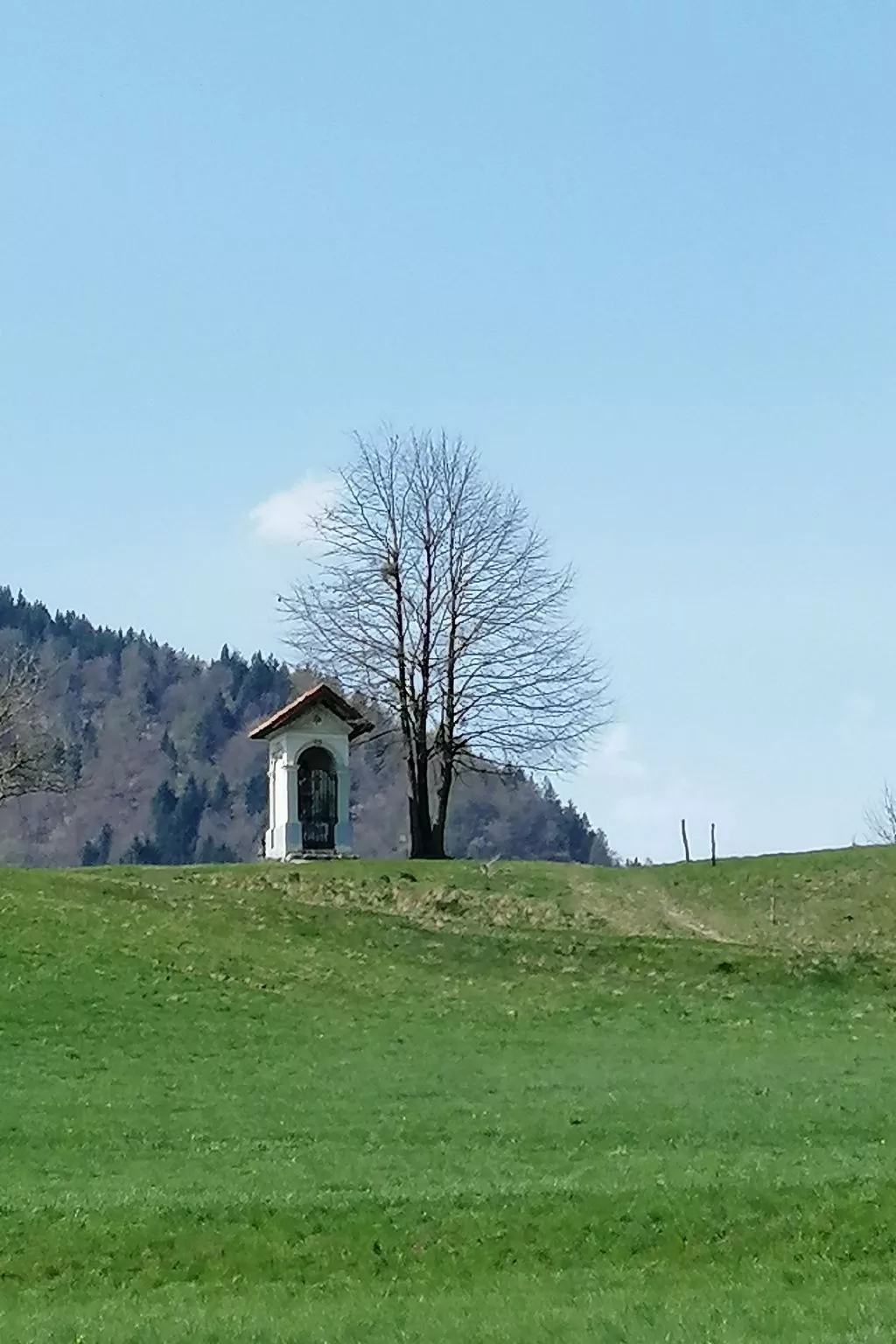 Mit eigenem Garten und Terrasse - Image-tags.info