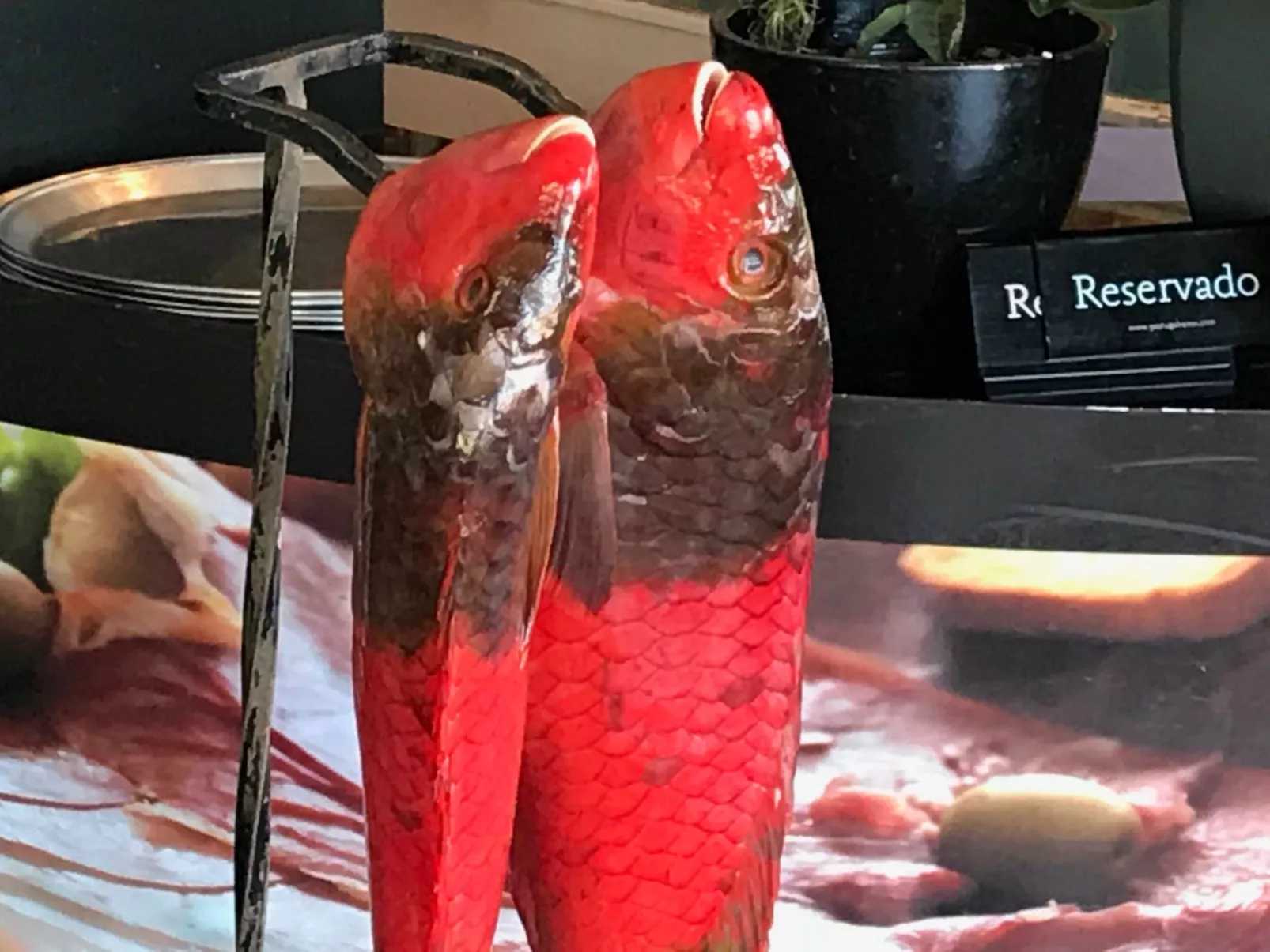 Mit Blick auf das Wasser - Image-tags.info