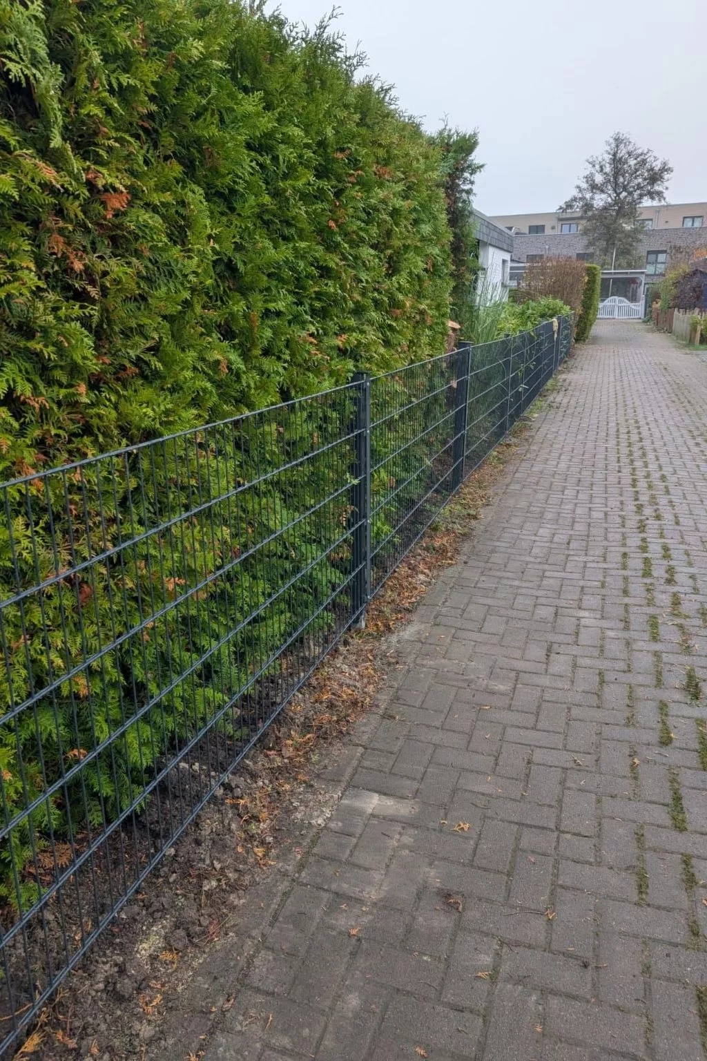 LouJa - Image-tags.info