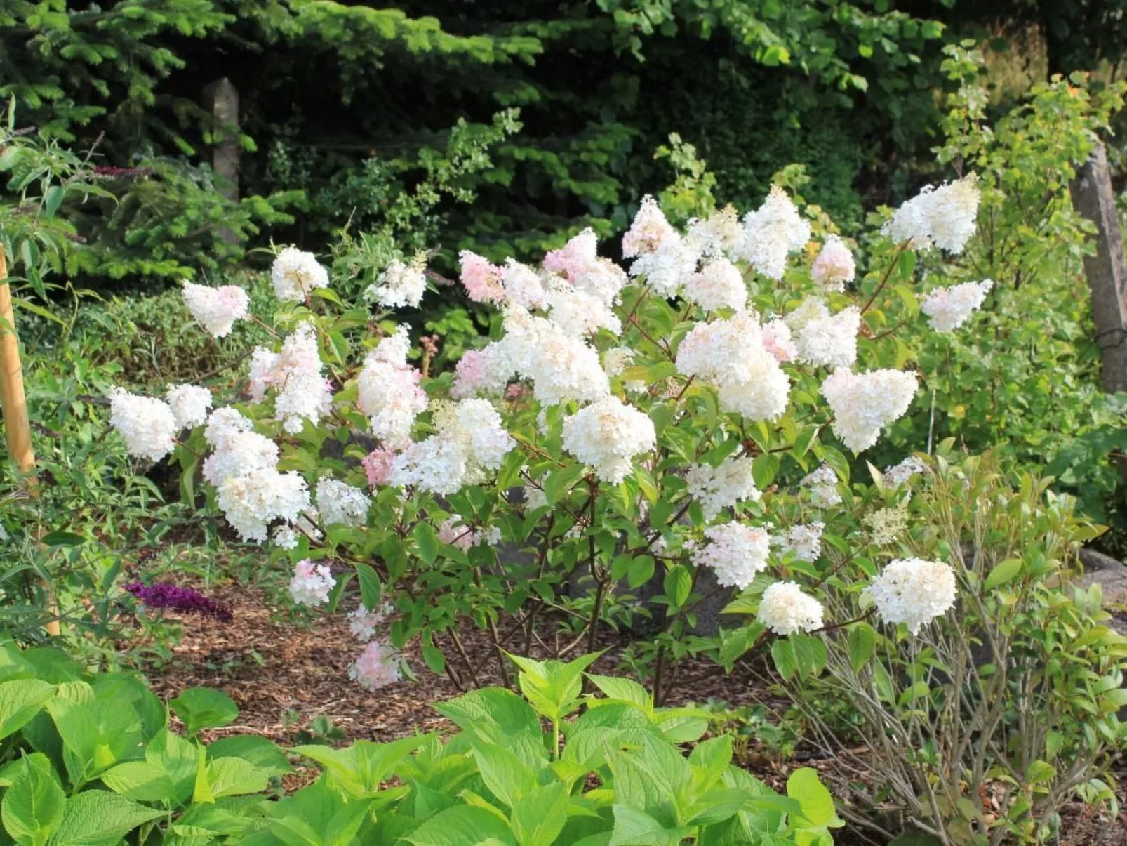 Appartement in Mastershausen mit Terrasse, Garten und Grill - Image-tags.info