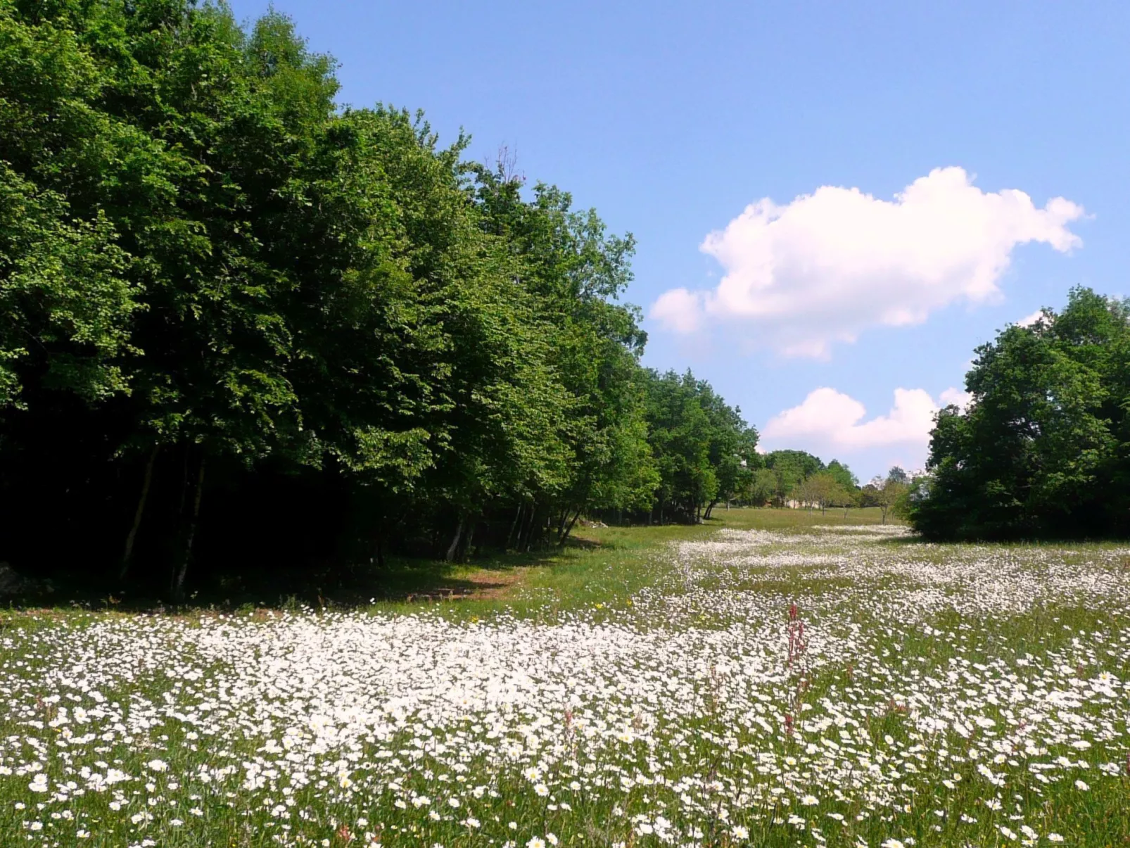 Domäne mit Jacuzzi - Image-tags.info