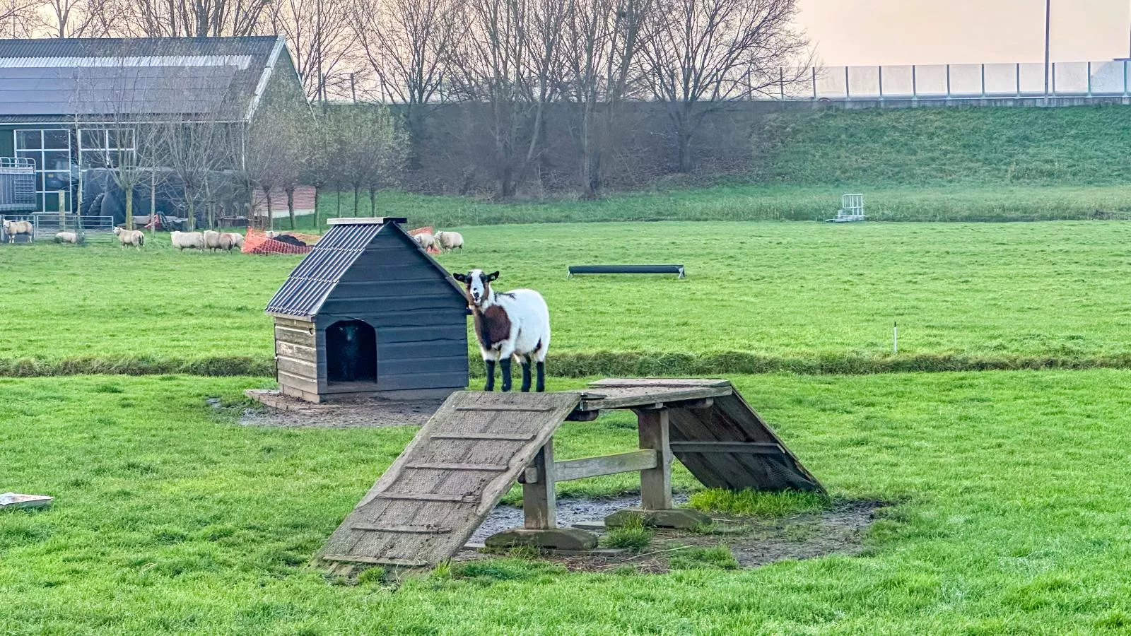 Beets View - Vue d'hiver