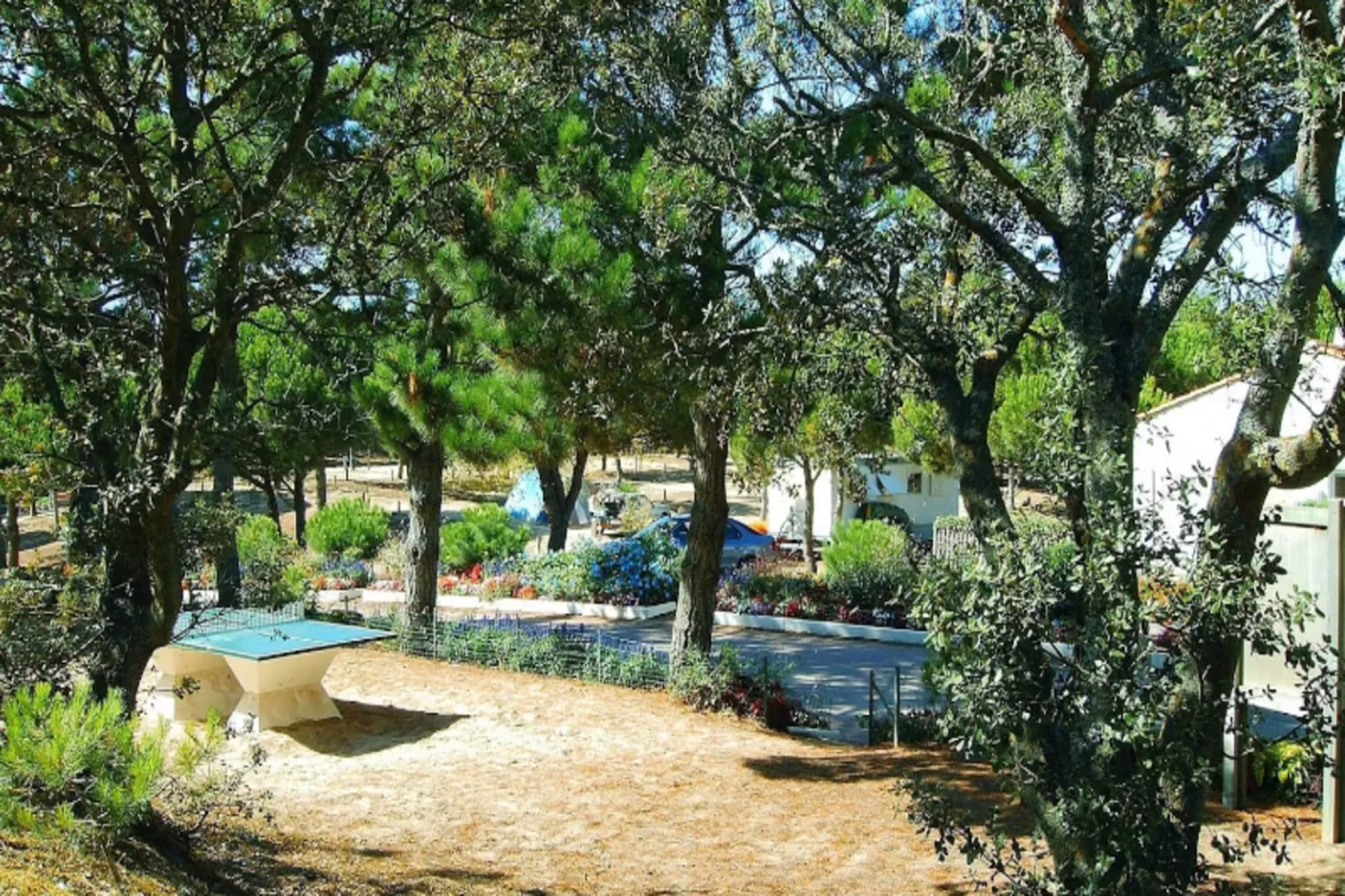 Villa Russie - Domaine Le Sherwood-Exterior in summer