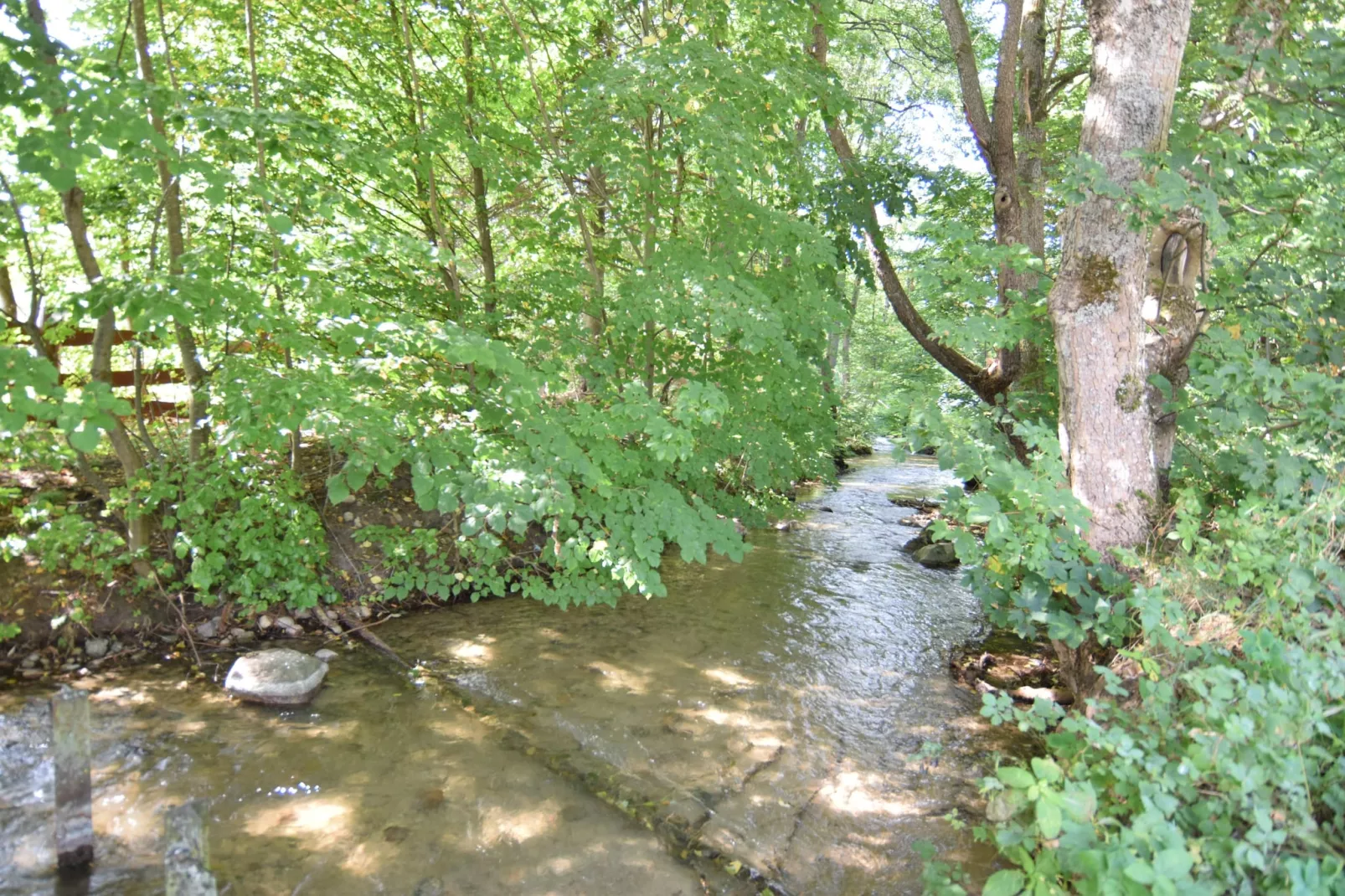 Domki wakacyjne MACIEJKA we Frydrychowie - Areas within 1km in summer