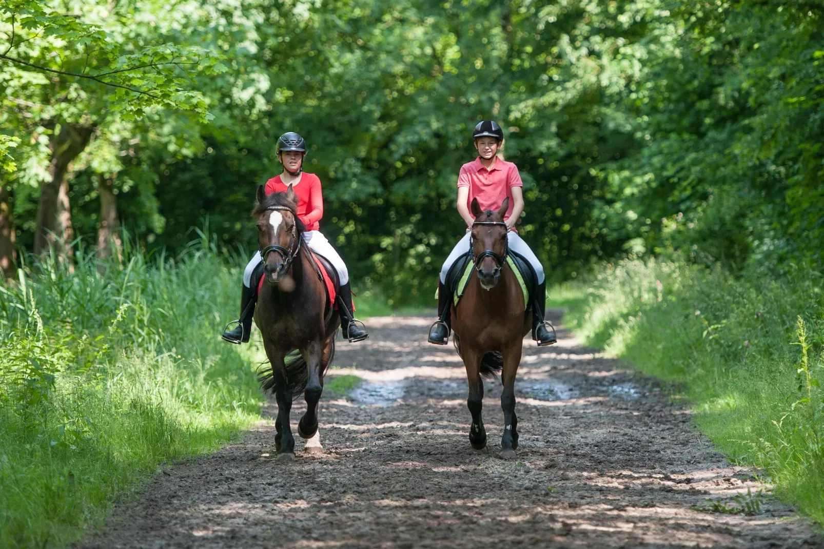 Villa Bel Air-Gebiete Sommer 5 km