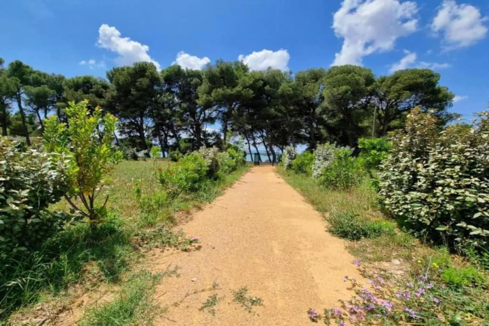 VILLA - FELINES MINERVOIS-Zones été à 5 km