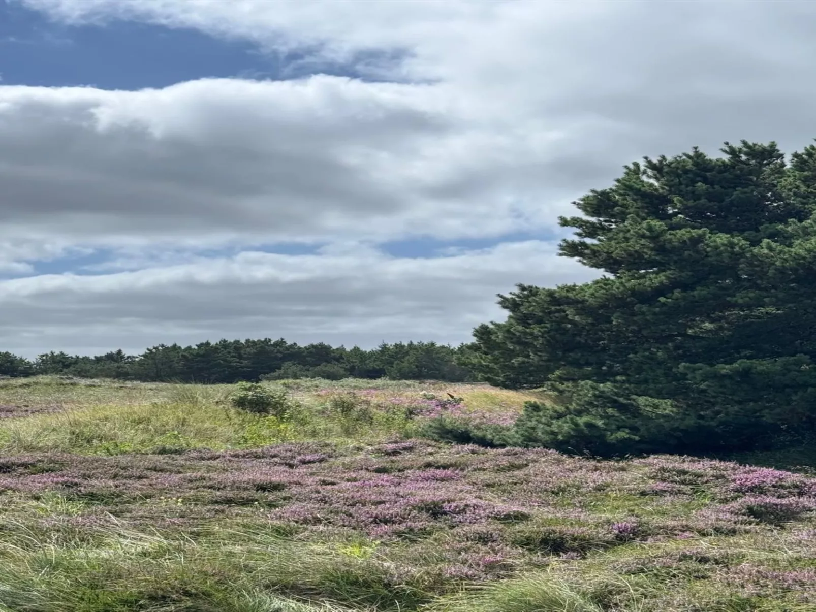 "Thrugils" - 800m from the sea-Outside