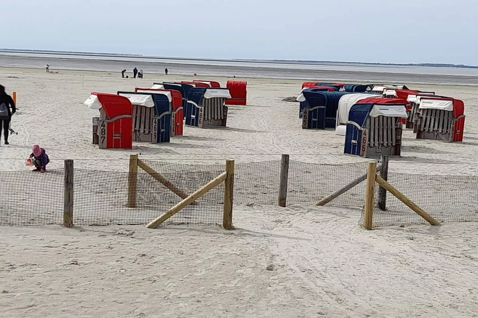 55576-Areas within 1km in summer