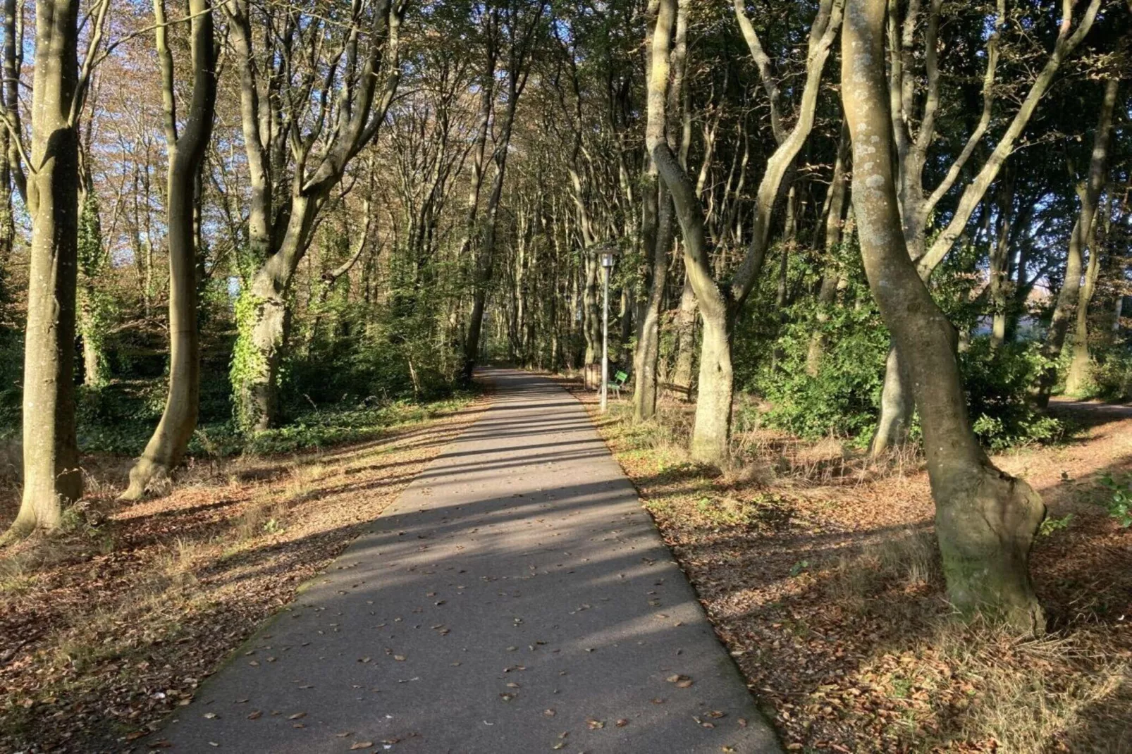 94531-View in summer