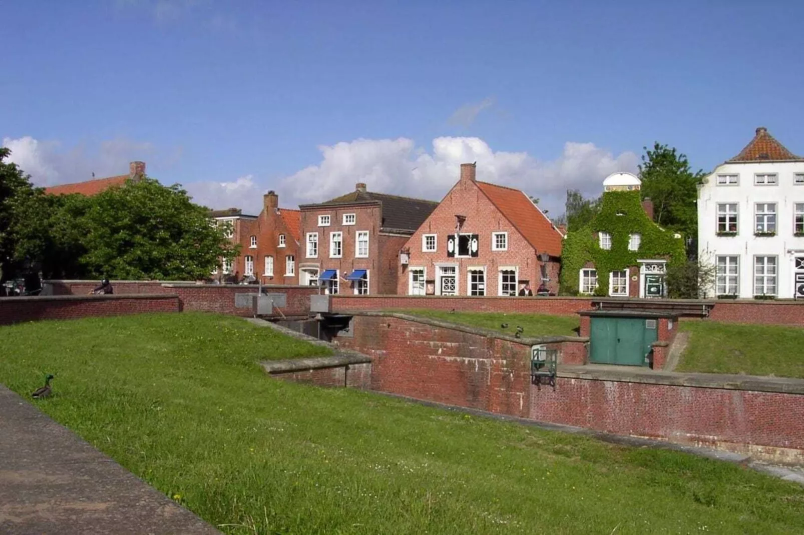 49791-Areas within 1km in summer