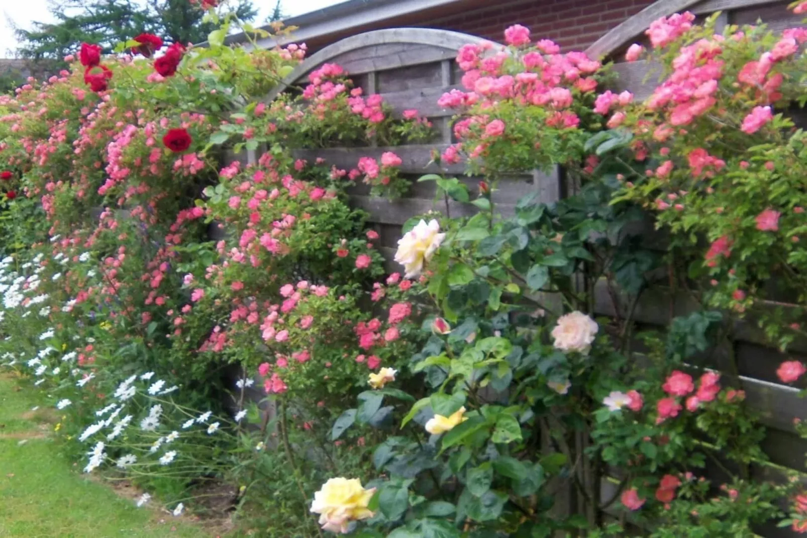 4627-Außenbereich Sommer