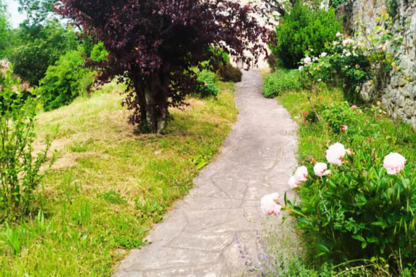 Maison De Charme Ancienne Entre Lacs Et Rh&ocirc;ne-Non tagué