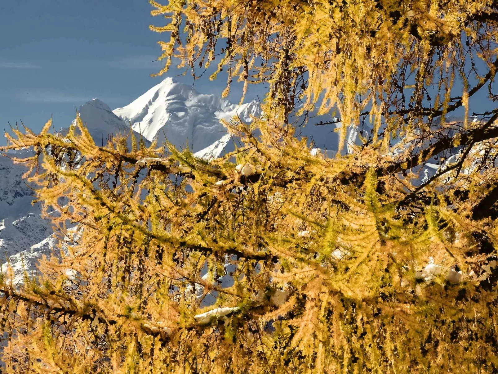 Chalet 1679 - Outside