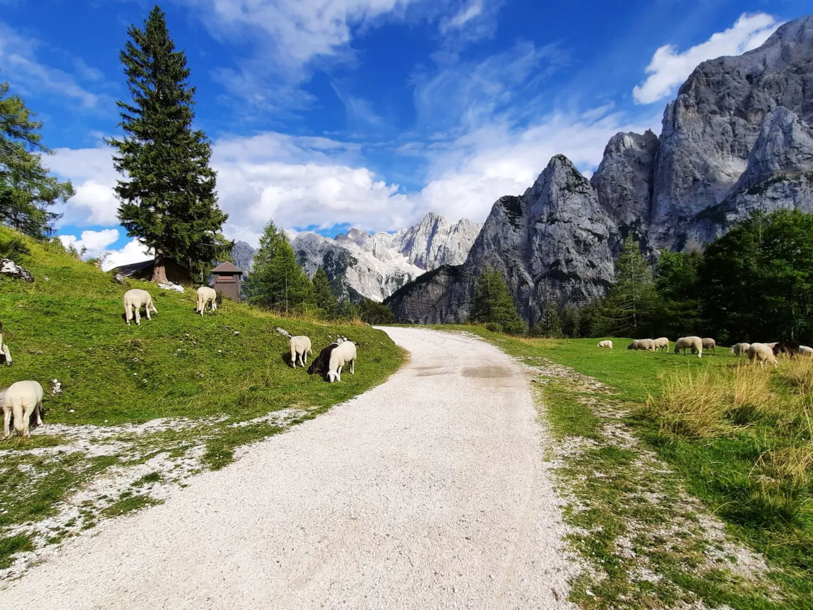 Mit eigenem Garten und Terrasse - Image-tags.info