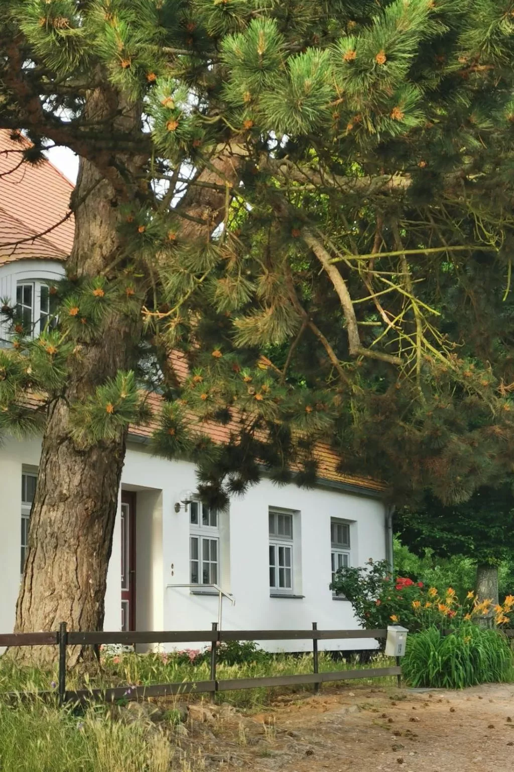 Traumhafte Ferienwohnung im Reetferienhaus - Image-tags.info