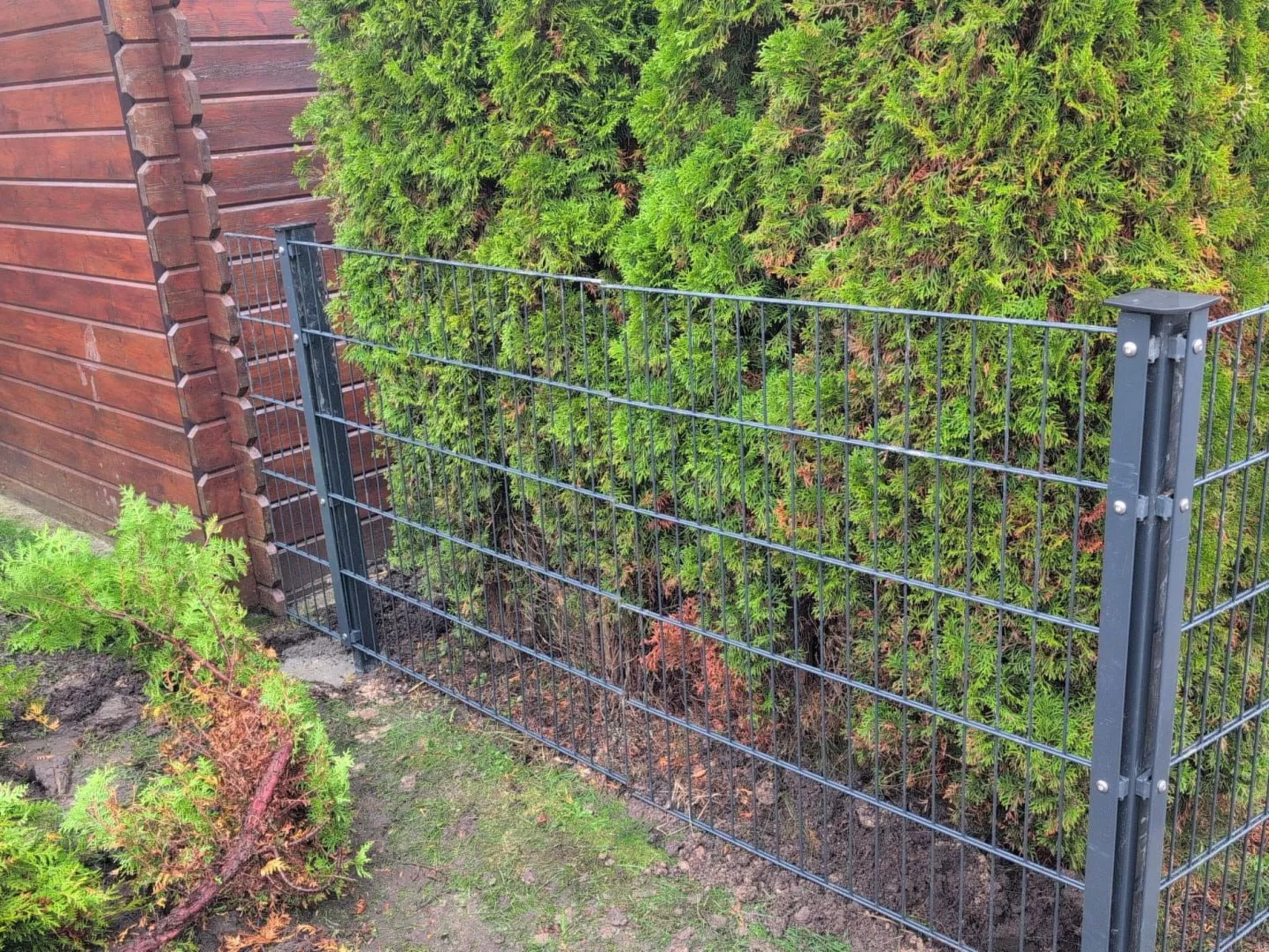 LouJa - Image-tags.info