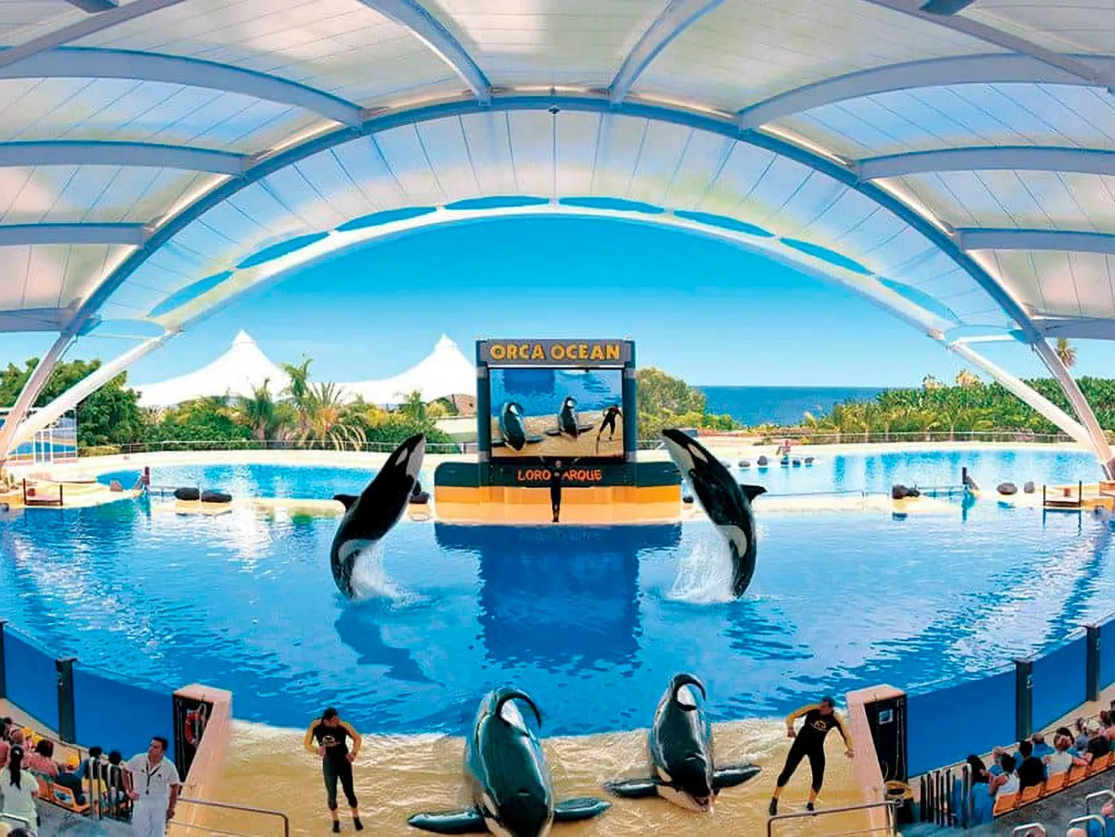 Wohnung "Albatros 406B" mit Wasserblick - Image-tags.info