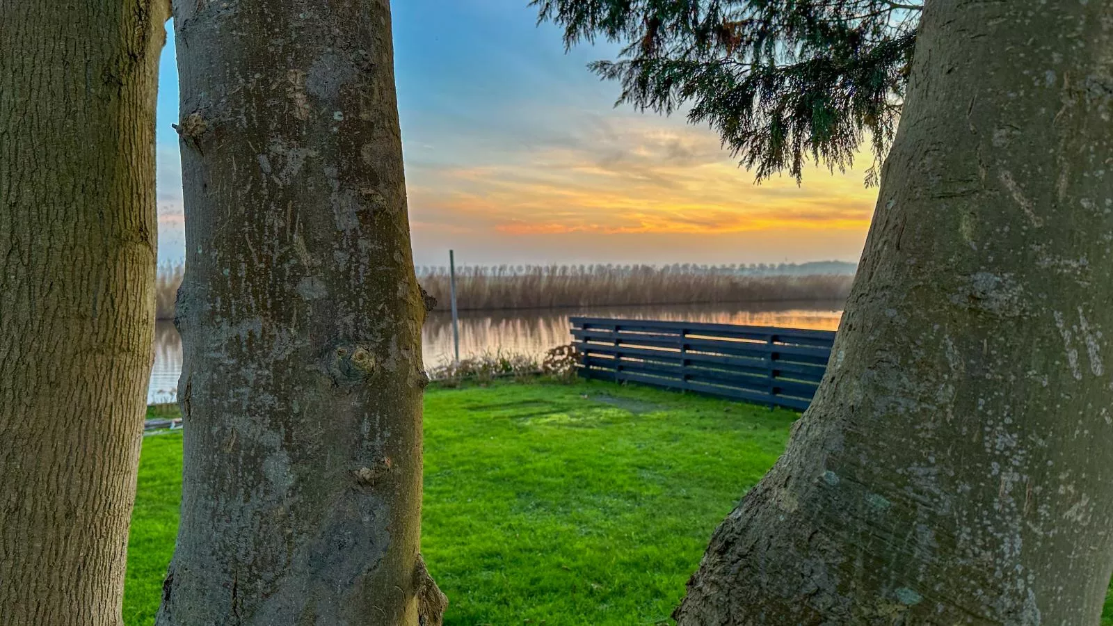 Beets View - Jardin en hiver