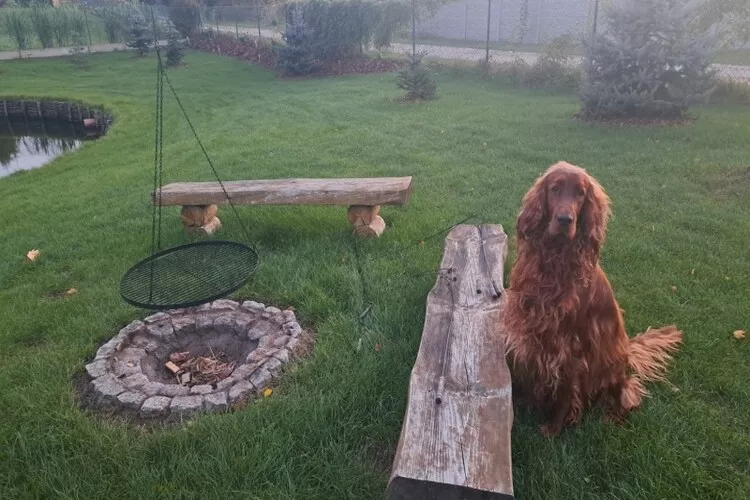 Domek wakacyjny VIP dla max 10 osób w Bałachach - Jardins en été