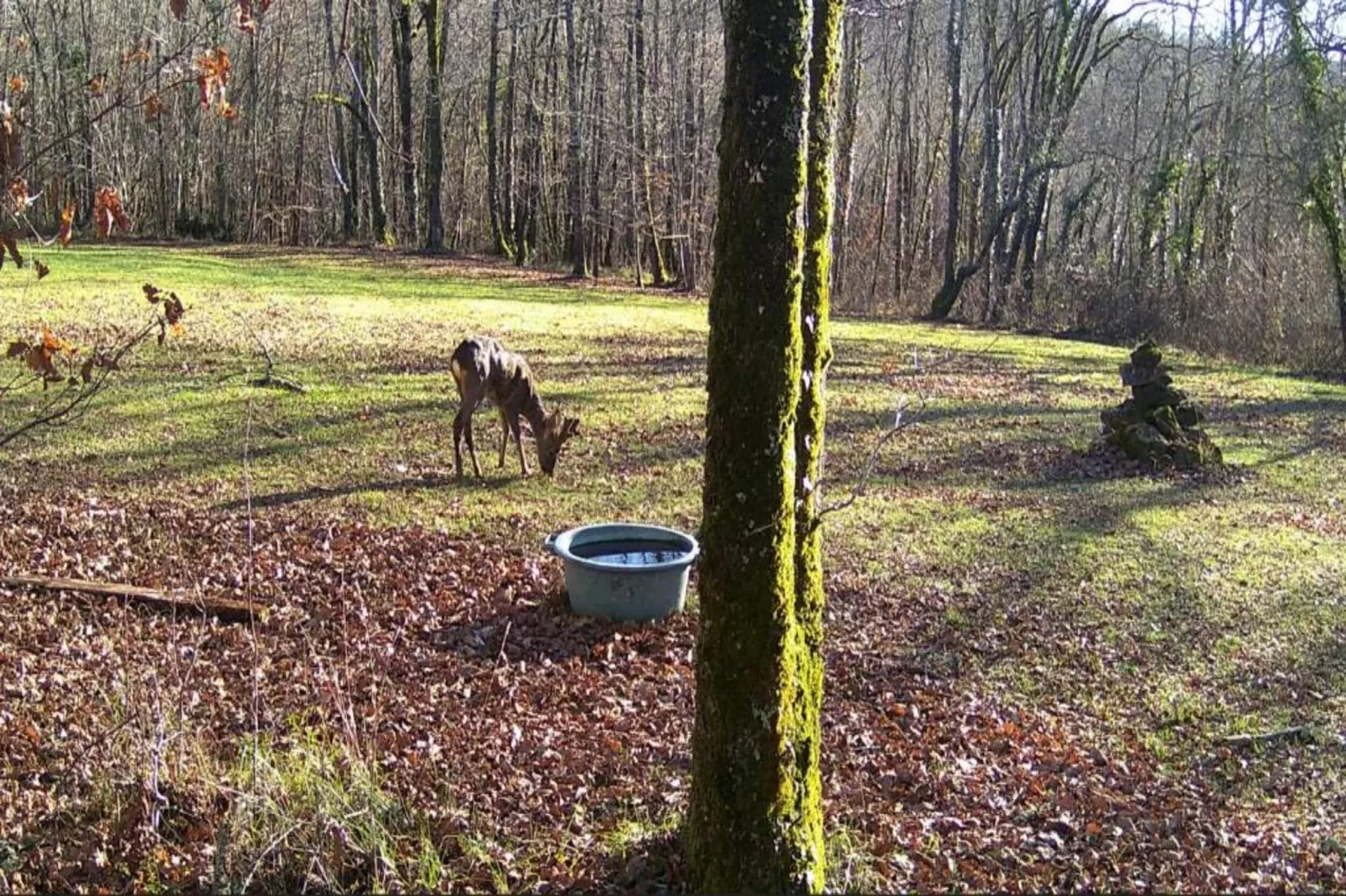 Domaine de Gavaudun - Gite La Chatière-Areas within 5km in summer