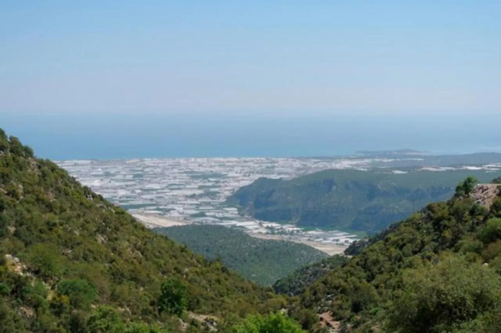 Moguima 2d-Areas within 1km in summer