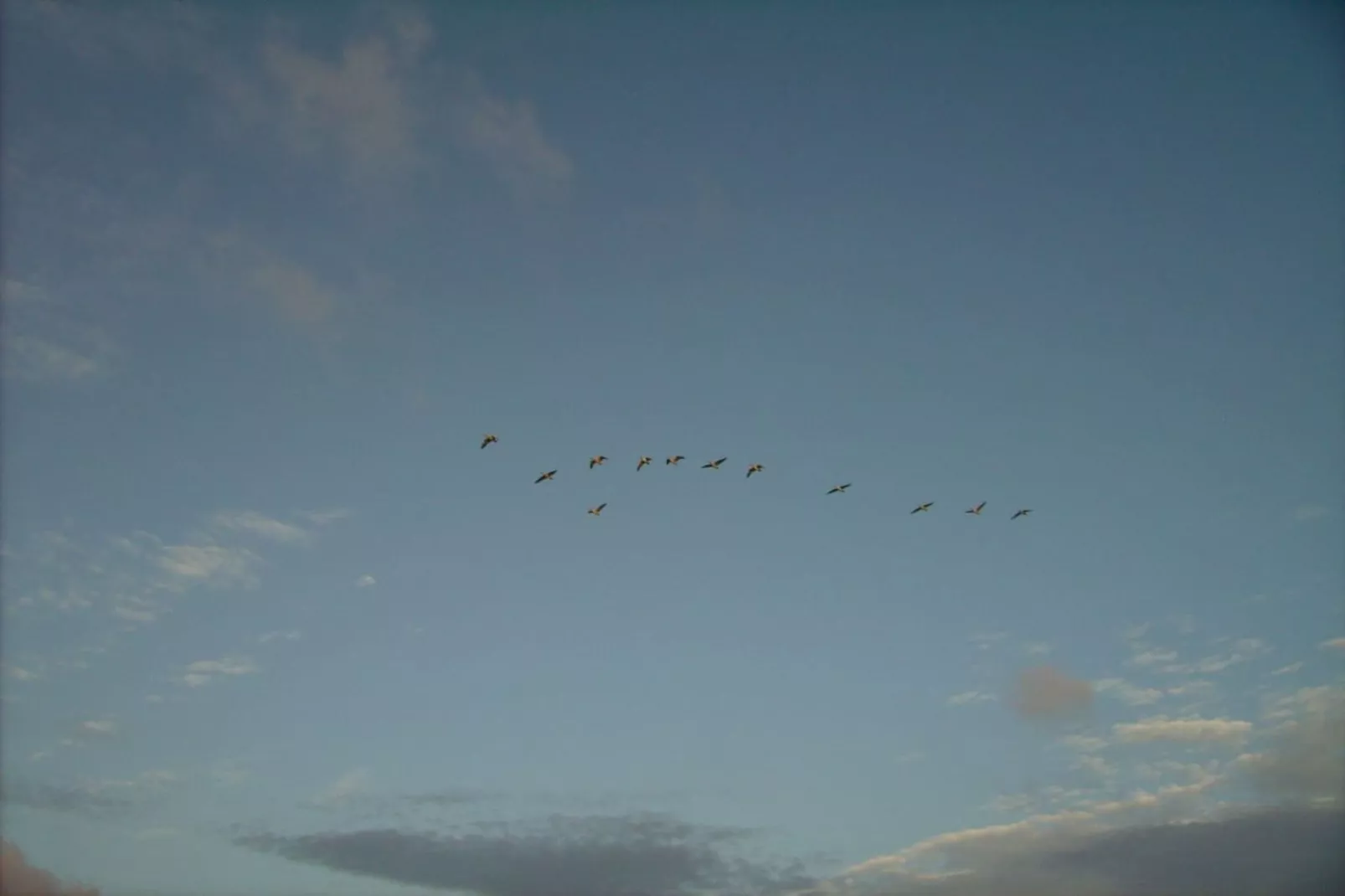 46450-Image-tags.water view