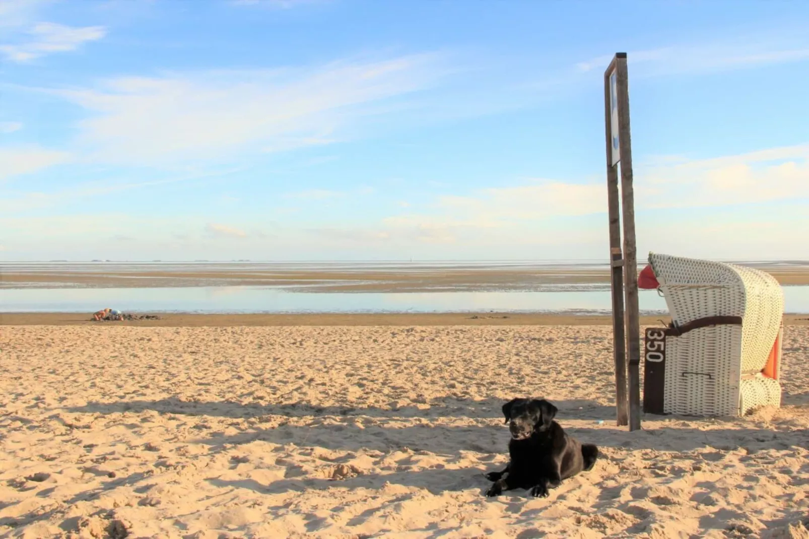 142985-Image-tags.water view