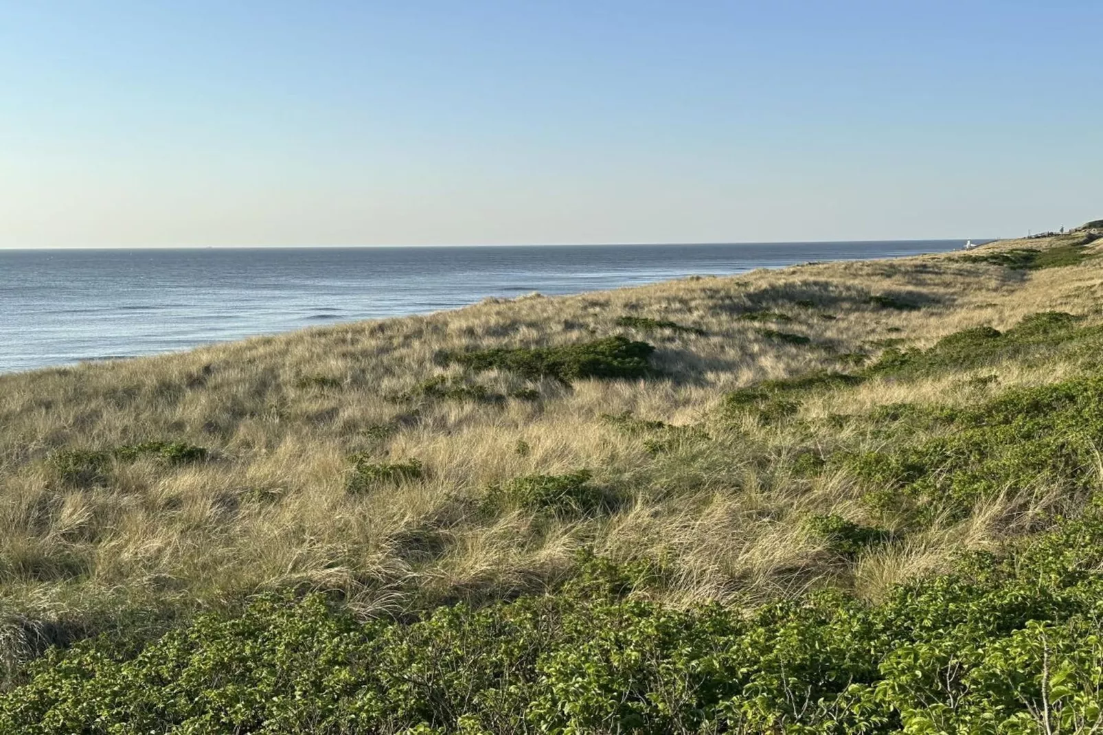 248389-Gebiete Sommer 5 km